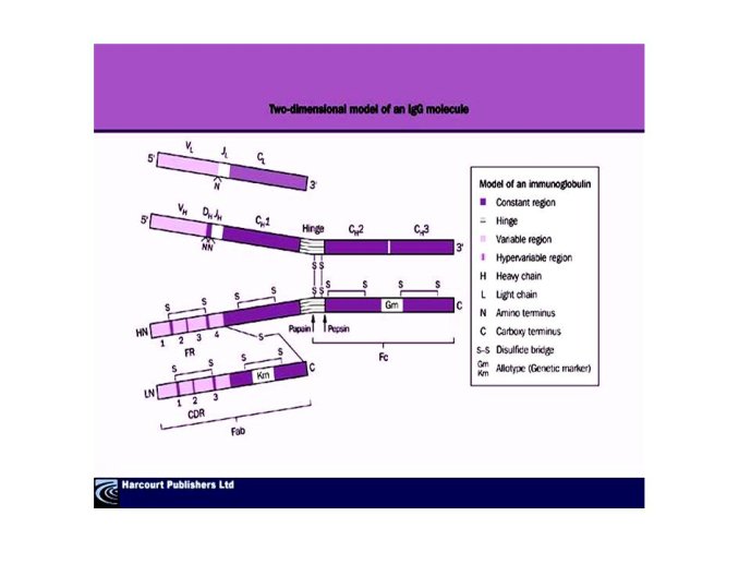 Diapositive48