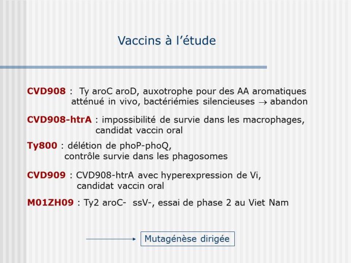 Diapositive14