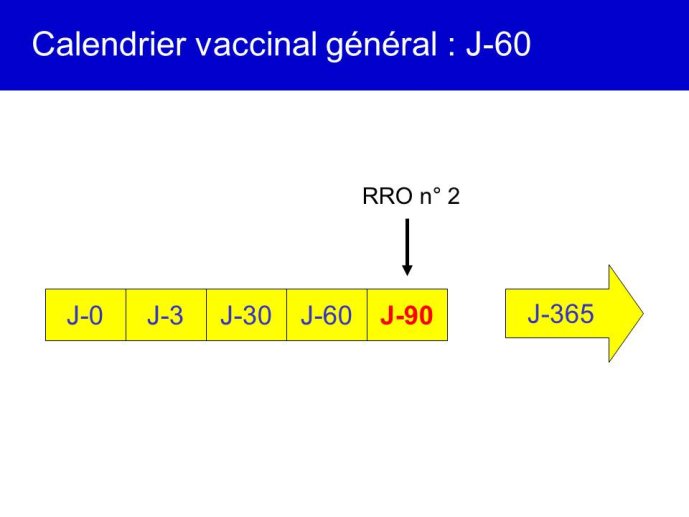 Diapositive13