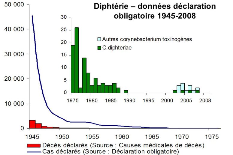 Diapositive8