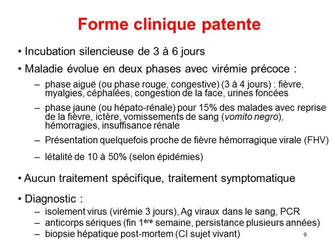 Diapositive9