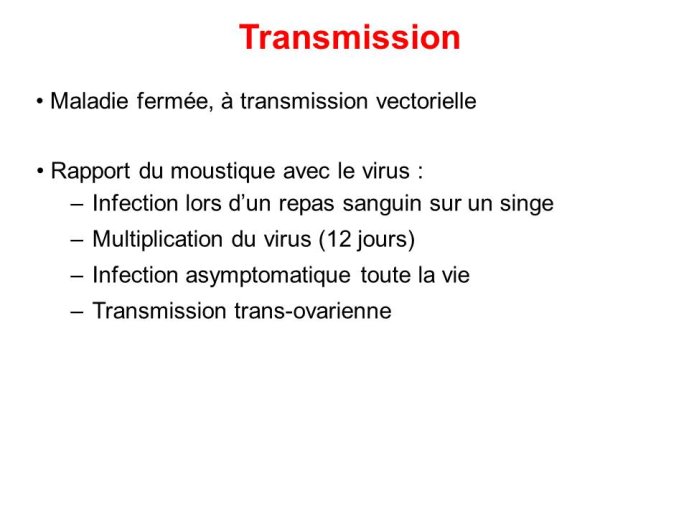 Diapositive11