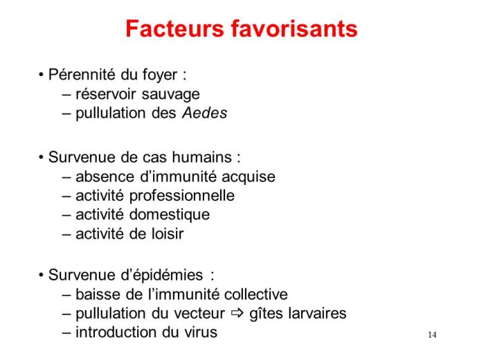 Diapositive14