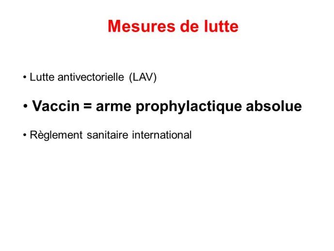 Diapositive20