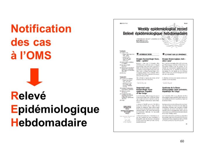 Diapositive60