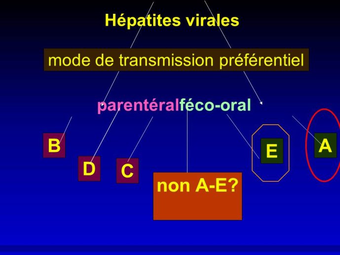 Diapositive3