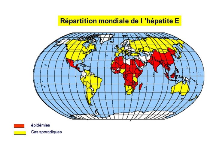 Diapositive31