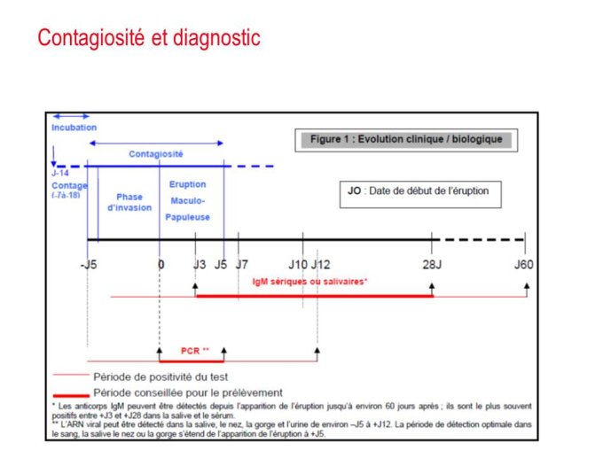 Diapositive5