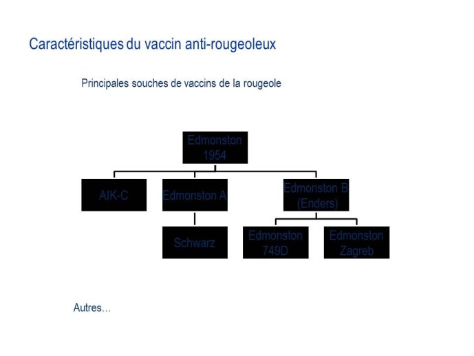 Diapositive7