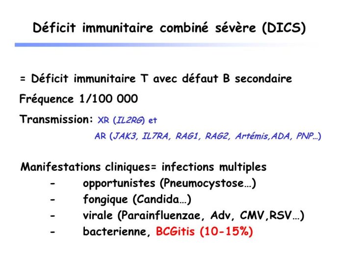 Diapositive11