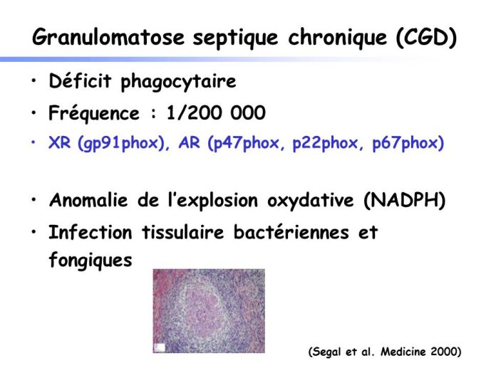 Diapositive13