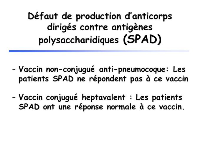 Diapositive31