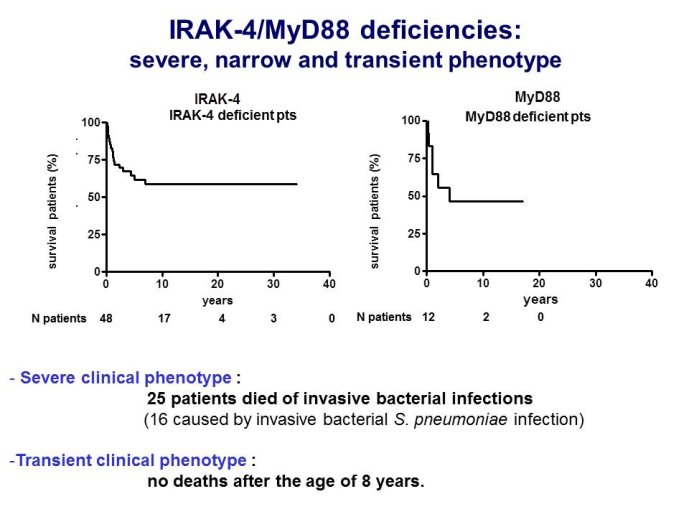 Diapositive43