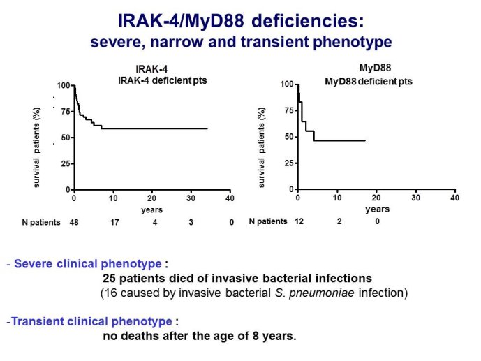 Diapositive43