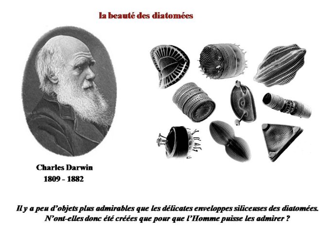 Diapositive14