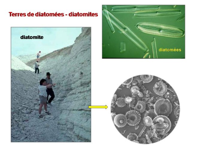 Diapositive16