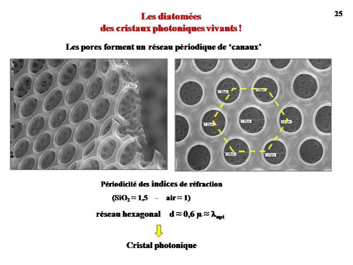 Diapositive25
