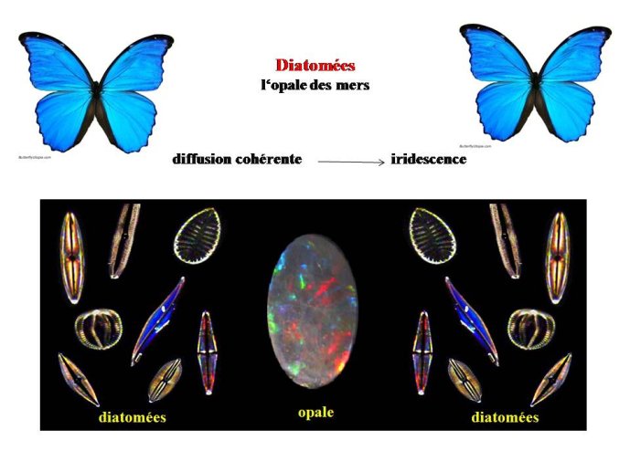 Diapositive27