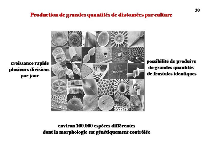 Diapositive30