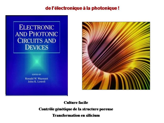 Diapositive34