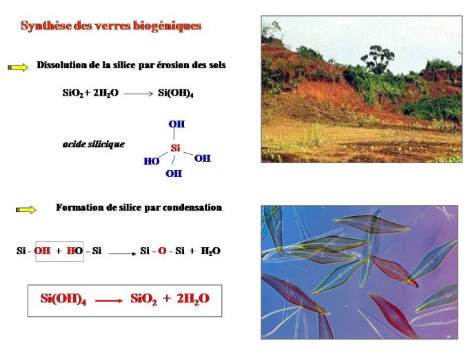 Diapositive36