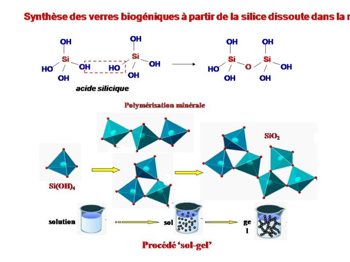 Diapositive39
