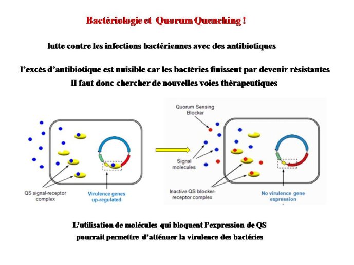 Diapositive84