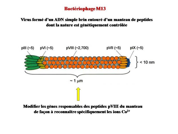 Diapositive93