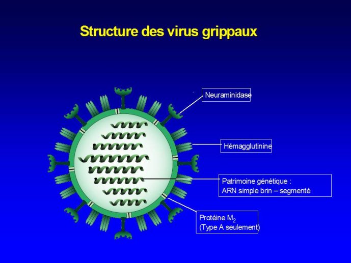 Diapositive4