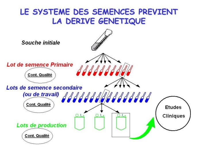 Diapositive6