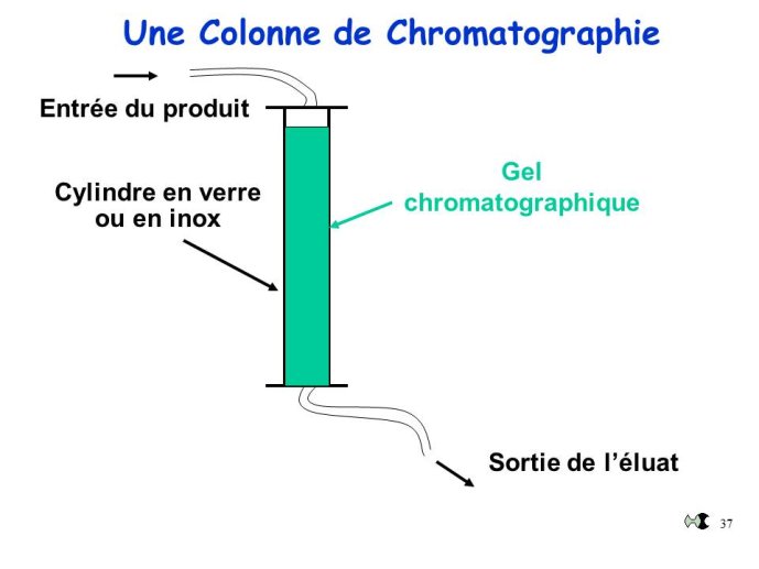 Diapositive37