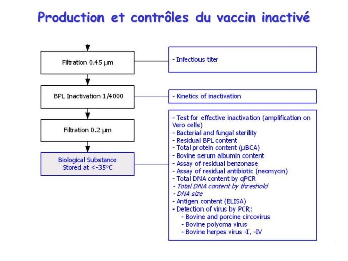 Diapositive52