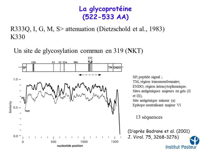 Diapositive18