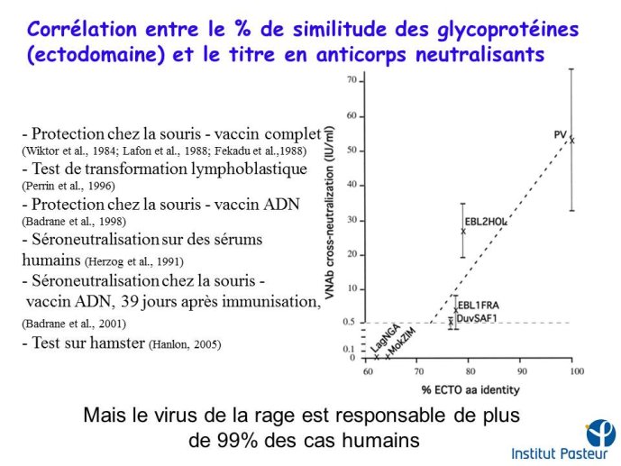 Diapositive19