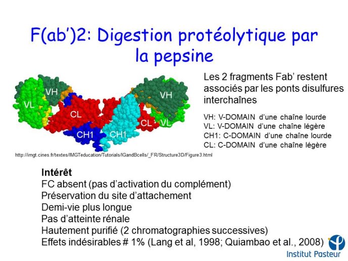 Diapositive44