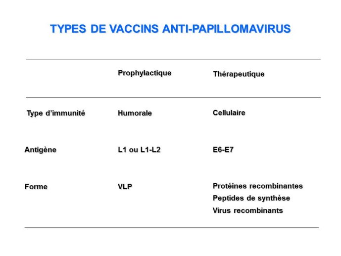 Diapositive21