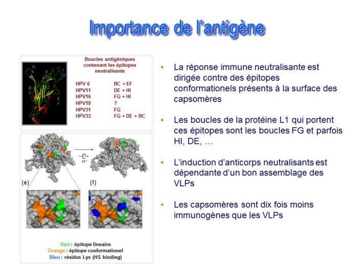 Diapositive24