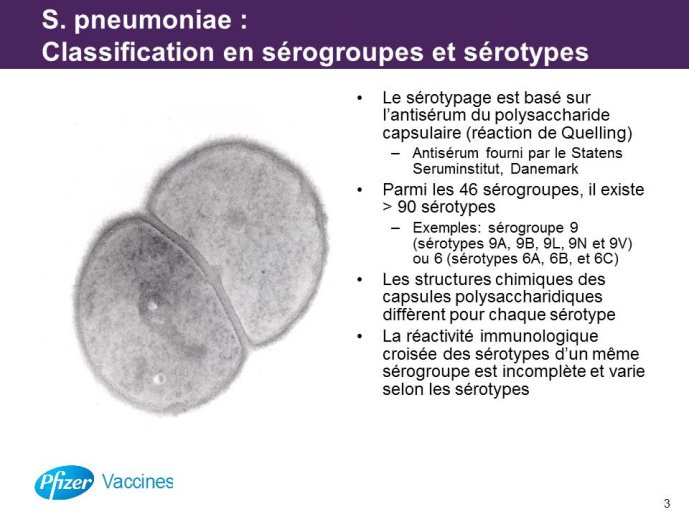 Diapositive3