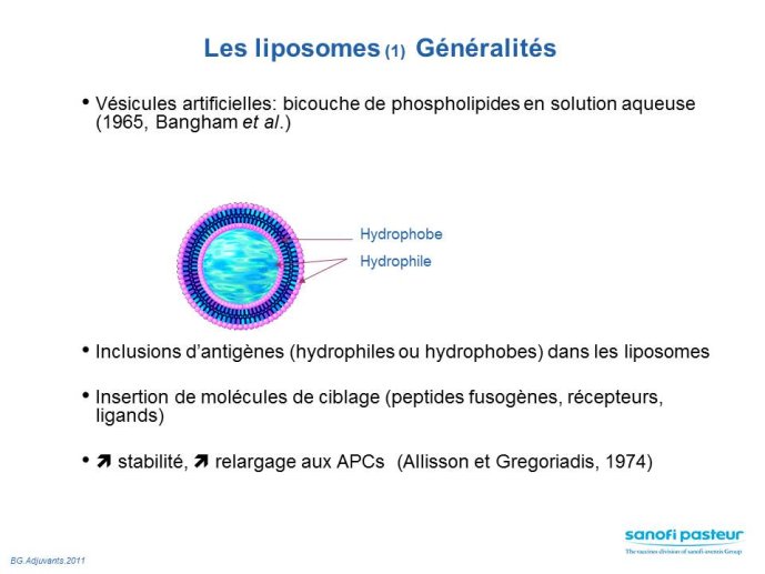Diapositive18