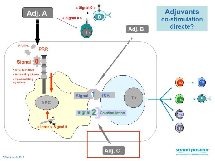 Diapositive45