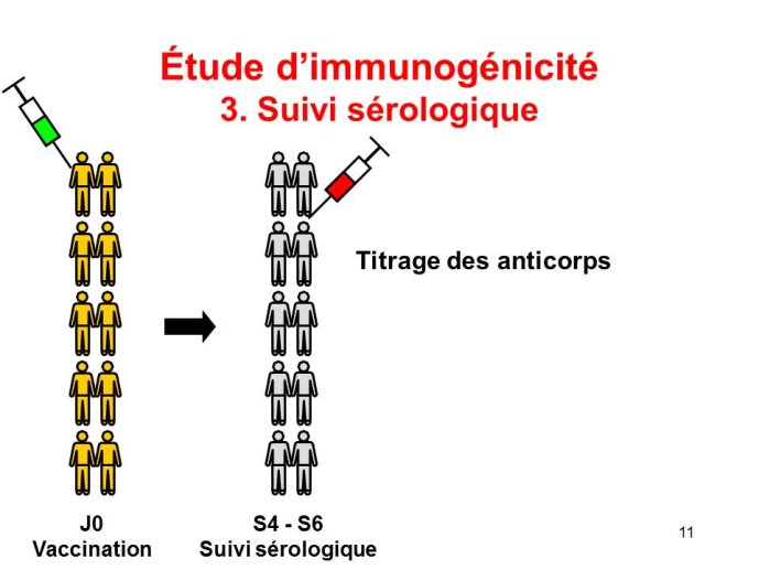 Diapositive11