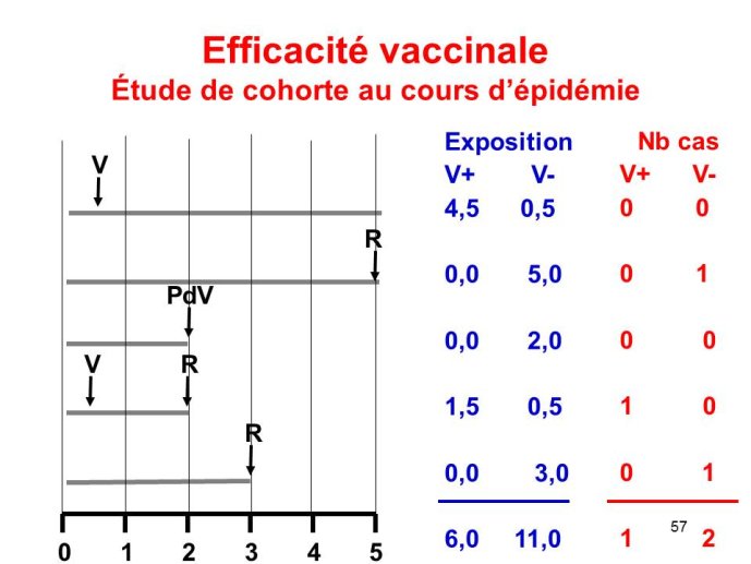 Diapositive57