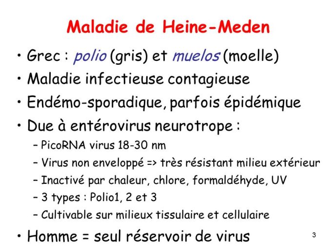 Diapositive3