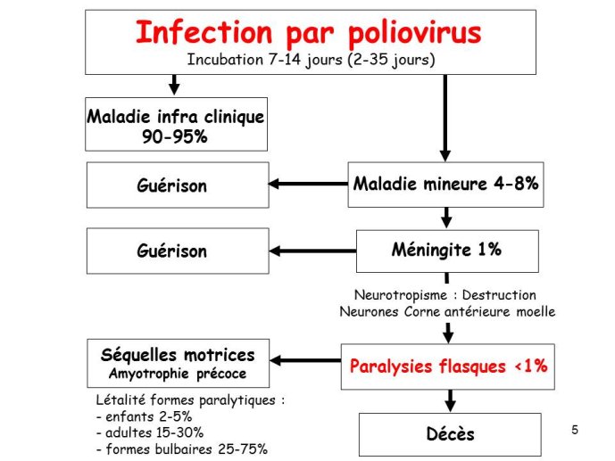 Diapositive5