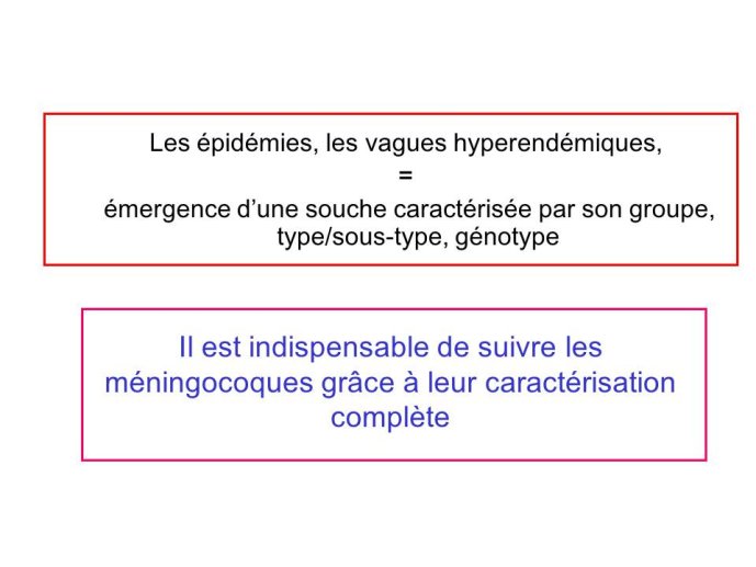 Diapositive5