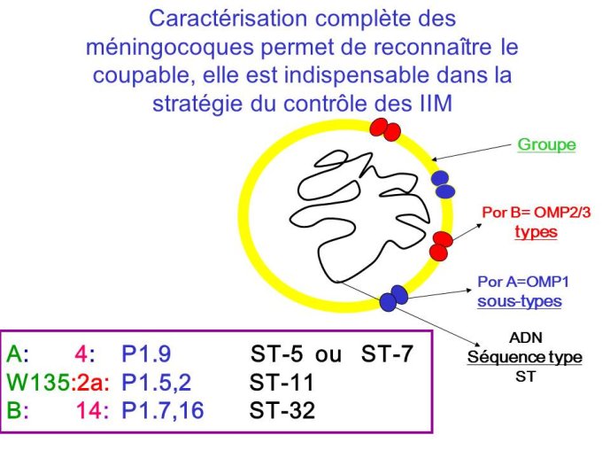 Diapositive6