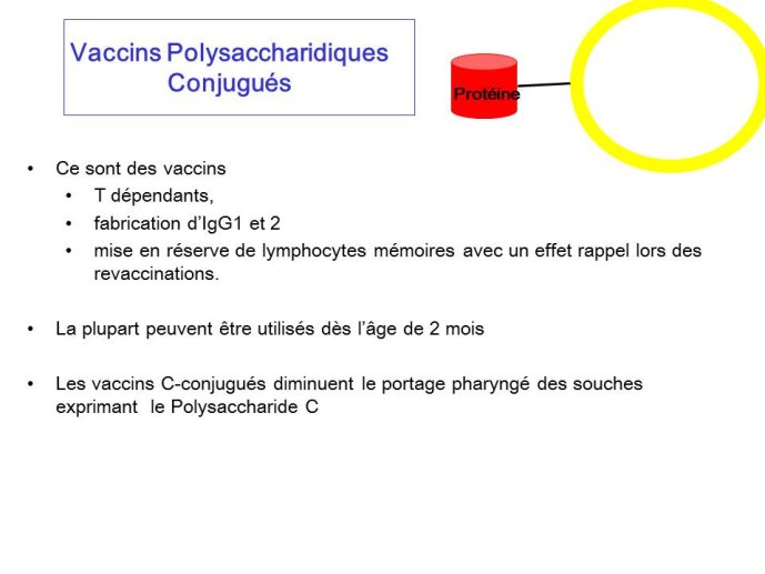 Diapositive22