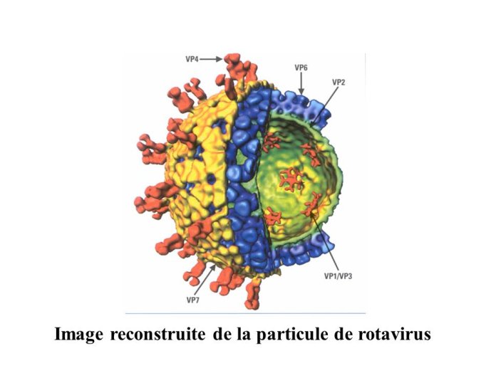 Diapositive11