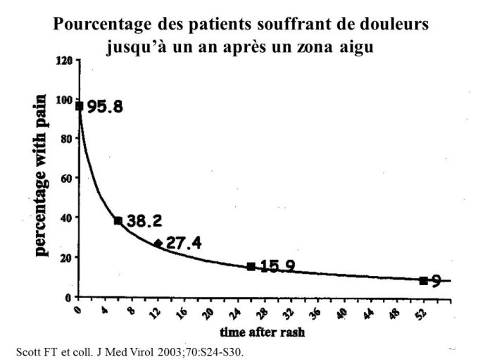Diapositive43