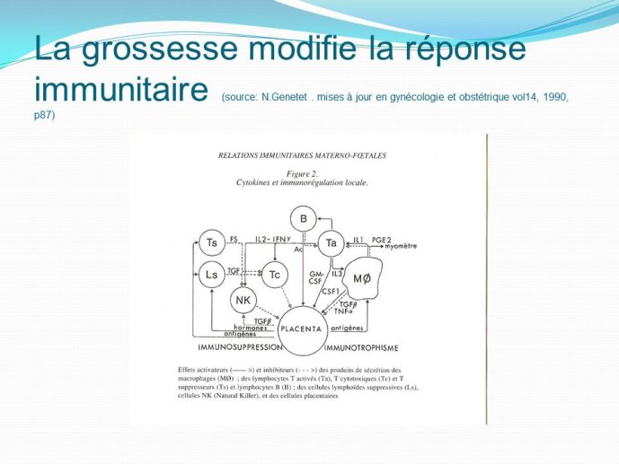 Diapositive5